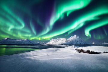 northern lights over lake. aurora borealis with starry in the night sky. fantastic winter epic magic