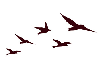 birds flying silhouettes