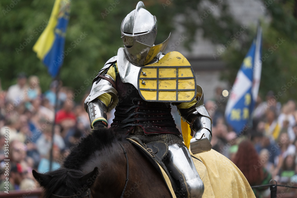unknown knight in a suit of armor is riding on a horse and ready for ...