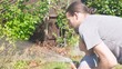 © mytrykau - Father and Son. Funny little boy watering lawn plants in garden housing backyard with Dad. Summer house work. Hardworking preschool Kid outdoors. Children help with housework. activity for kids