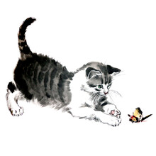 Watercolor Illustratin Of Cat Playing With Butterfly.         