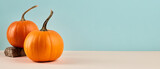 Fototapeta  - Two orange pumpkins on pastel blue background. Autumn concept. Seasonal banner design with copy space.