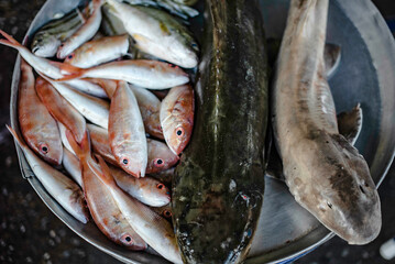 Fresh sea fish for sale in Ban Na Kluea Fresh Market, Pattaya, Thailand.