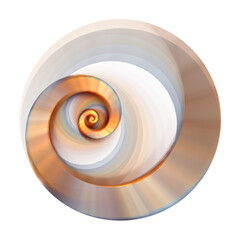 Wall Mural - Abstract swirl gold circle element