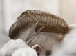 © jozzeppe777 - Barber with scissors and a comb