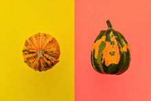 Two Gourds On Two-color Background