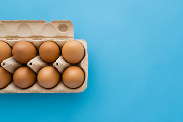 Poster - Top view of natural chicken eggs in carton tray on blue background.