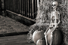Black White Halloween Skeleton On The Hay With Pumpkins On The Pavement