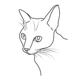 Fototapeta Koty - Vector black line drawing of a cat outline on a white background.