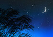 満天に広がる星空と三日月を背景に、揺れるススキのシルエット