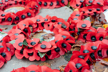 Poppy Day Great Remembrance War World Flanders At War Memorial. Selective Focus.