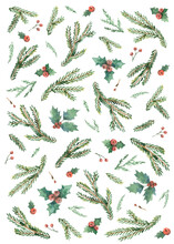Watercolor Vector Christmas Card With Fir Branches And Holly Jolly.