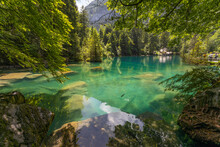 View Of Blausee (The Blue Lake) In Bernese Oberland, Famous Tourist Destination In Switzerland