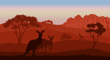 Australian Landscape. Kangaroo Silhouettes. Savannah Scenery Of Australia. Panoramic Wildlife Scene. Wilderness Summer Dusk