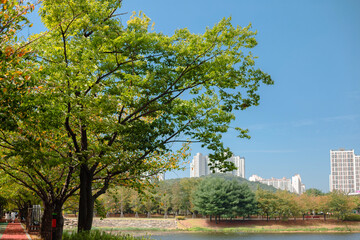 Wall Mural - Hwarang Recreation Area park forest road in Ansan, Korea