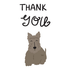 Wall Mural - Phrase -Thank you. Cute little Scottish Terrier. Hand drawn illustration on white background. Best for greeting cards.