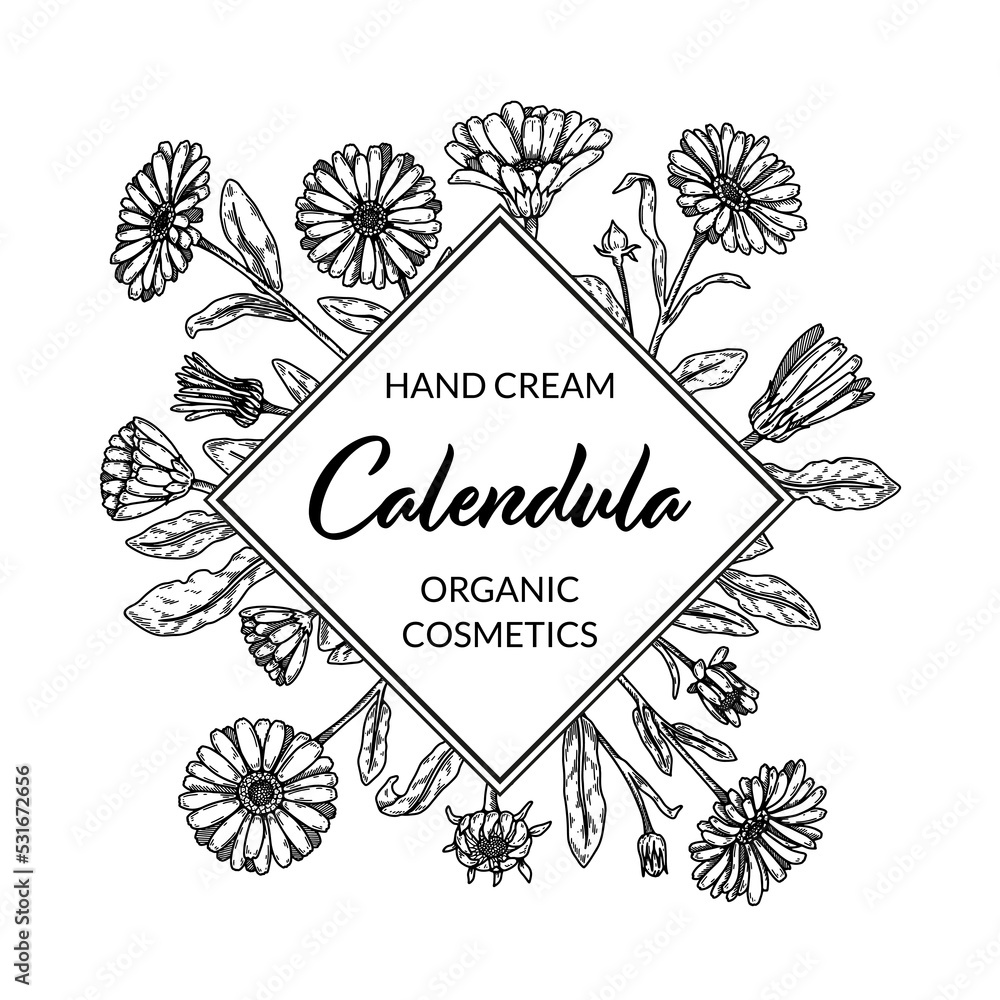 Calendula frame with hand drawn elements. Vector illustration in sketch ...
