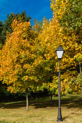 street lamp in autumn