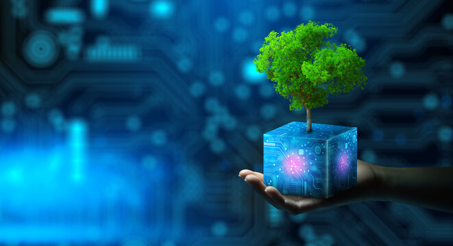 Wall Mural -  - Man hand holding Tree on digital cube with technological convergence blue background. Green computing, csr, IT ethics, Nature technology interaction, and Environmental friendly.