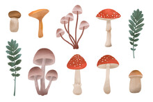 Hand Drawn Mushrooms And Plants Isolated On Transparent Background. Colorful Illustration Set.