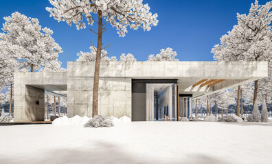 3d rendering of new concrete house in modern style with pool and parking for sale or rent and beautiful landscaping on background. The house has only one floor. Cool winter day with shiny white snow.