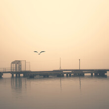 Foggy Dock. Pier, Autumn Silence. Calm. Seagulls.