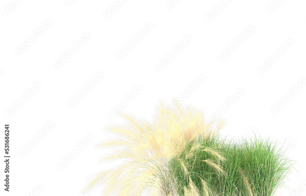 Grass on transparent background. 3d rendering - illustration