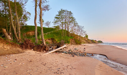 Wall Mural - Baltic sea shore at sunset. Sandstone cliff, trees, pebbles. Clear sky, glowing clouds, soft golden sunlight, midnight sun. Dreamlike seascape. Panoramic view. Pure nature, tourism, summer vacations