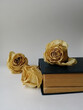  roses and book 