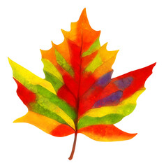 Wall Mural - isolated colorful autumn tree leaves, digital illustration