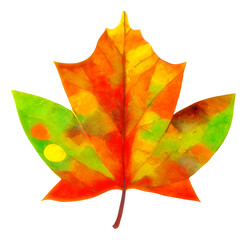 Wall Mural - autumn maple tree leaf cut out, digital illustration
