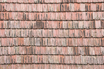 Wall Mural - Closeup surface of old weathered ceramic tiles covering building roof