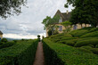 Jardins du château de Marqueyssac en Dordogne 