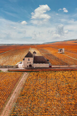 Wall Mural - Castle and vineyards in Burgundy, aerial view in autumn. France