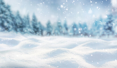 Wall Mural - blurry image of a winter forest, small snowdrifts and light snowfall - a beautiful winter-themed bac
