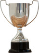 Image of close up of silver trophy cup