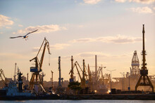 Container Terminal, With Cranes, In A Commercial Port