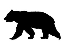 Silhouette Bear Isolated On White Background