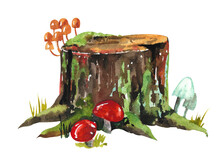 Watercolor Stump. Forest Stump With Mushrooms And Grass On A White Background
