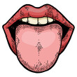 Tongue showing from mouth color sketch engraving PNG illustration with transparent background