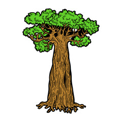 baobab monkey bread tree color sketch engraving png illustration with transparent background