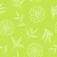 Wall Mural - chamomile and tea leaves seamless pattern hand drawn in doodle style. vector, minimalism, monochrome, scandinavian. wallpaper, wrapping paper, textiles, background.