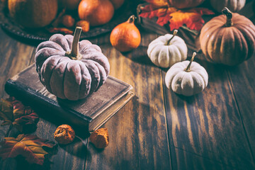 Sticker - Rustic autumn still life with different pumpkins on wooden surface in vintage style