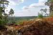 canvas print picture - Restant du long Rocher view in Fontainebleau forest