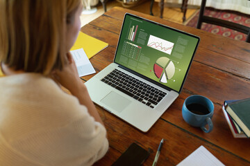 Wall Mural - Blond asian female entrepreneur analyzing business report over laptop at office