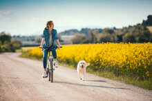 Shot Of Beautiful Young Girl Riding A Bike While Walking Her Dog In The Park Through Rapessed Field.
