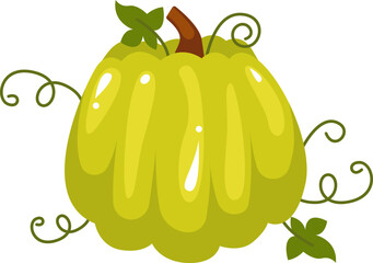 Sticker - Pumpkin Autumn Plant. Vector illustration