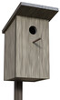 Wooden nest box for starlings mounted on a pole. 3d rendering
