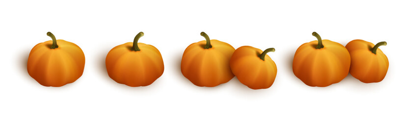 Set of autumn orange pumpkins for halloween or thanksgiving celebration isolated on white background. Vector illustration