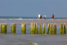 Wooden Wave Breaker Poles With Blur Peoples Walking On On The Beach, Row Of Groyne At Dutch North Sea Coastline In Summer, To Reduce The Wave Force And Erosion Of The Shore, North Holland, Netherlands